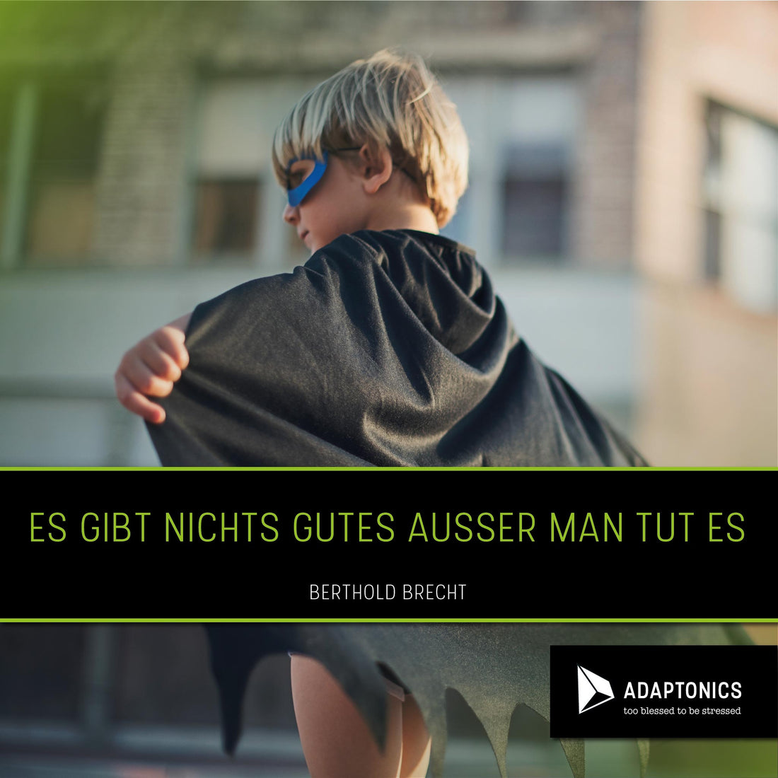 Artemisia – das Dynamit aus dem Beifuss