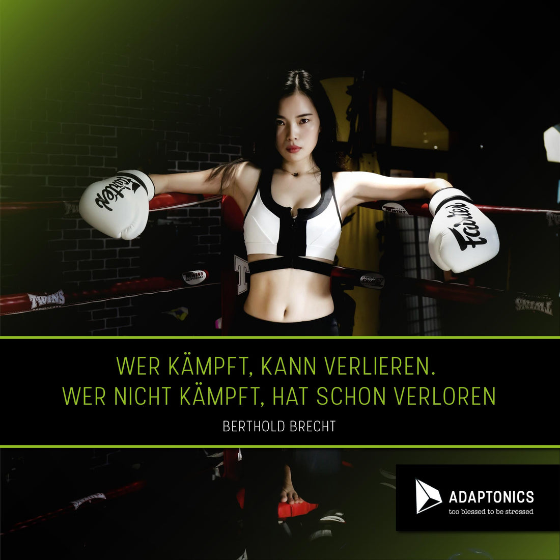 Cistus: Welche wissenschaftlichen Studien gibt es?
