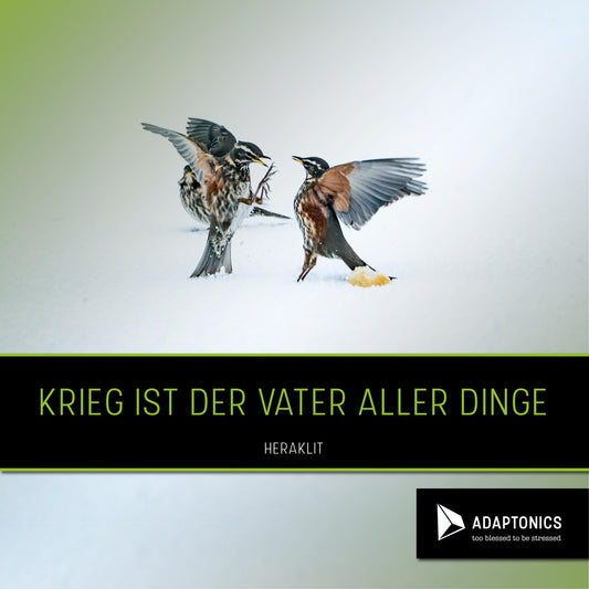 Wirkt Zistrose Entzündungshemmend?