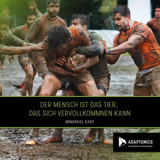 Die Zistrose: Wahre Schönheit kommt von Innen