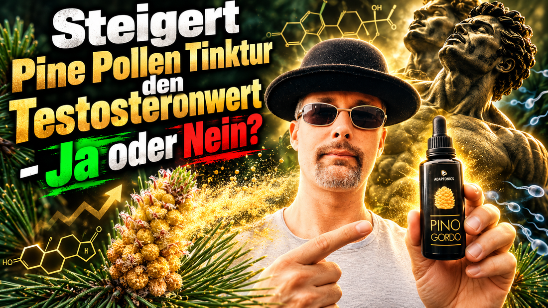 Testosteron aus Kiefernpollen: Wie Biohacker das Baumsperma wiederentdeckten